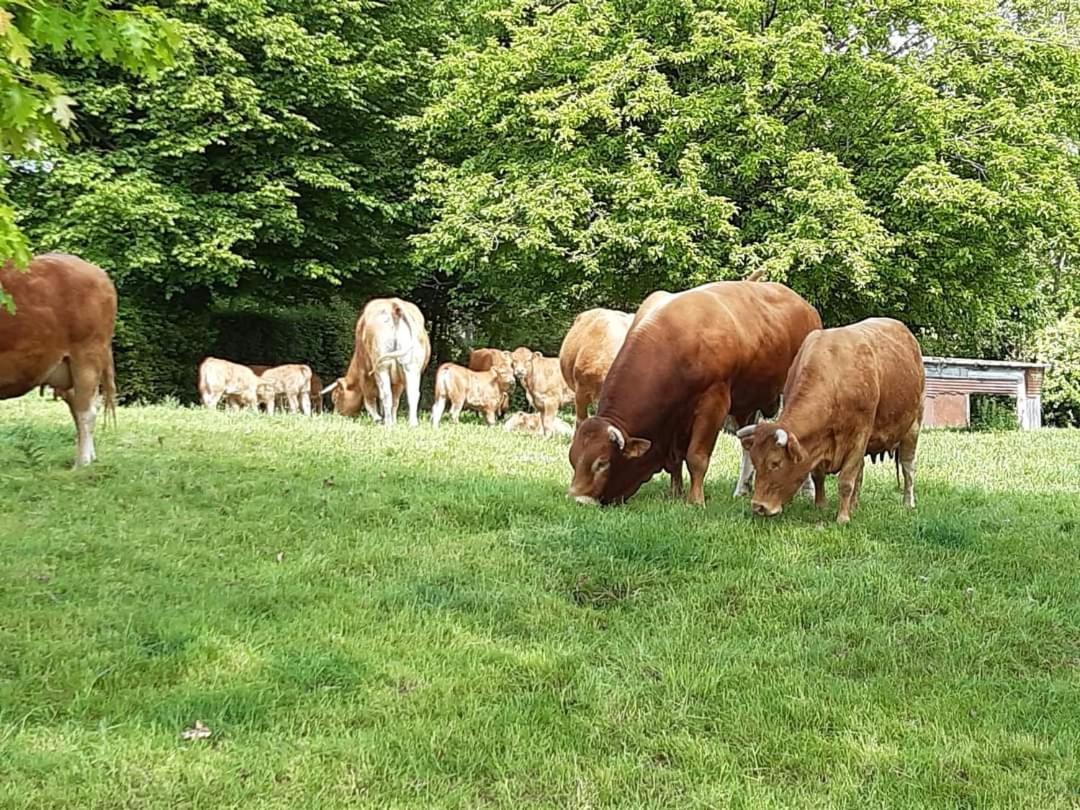 Au Bocage Parfume Gite La Cigaline Wirwignes Exterior photo